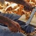 artisans investissement
