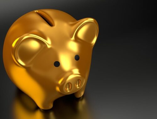 Finance verte en Afrique : la nouvelle frontière pour bâtir un patrimoine durable… et rentable !